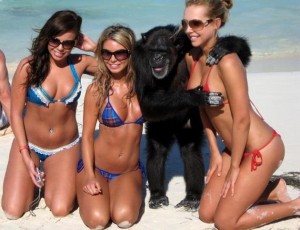 Monkey with girls